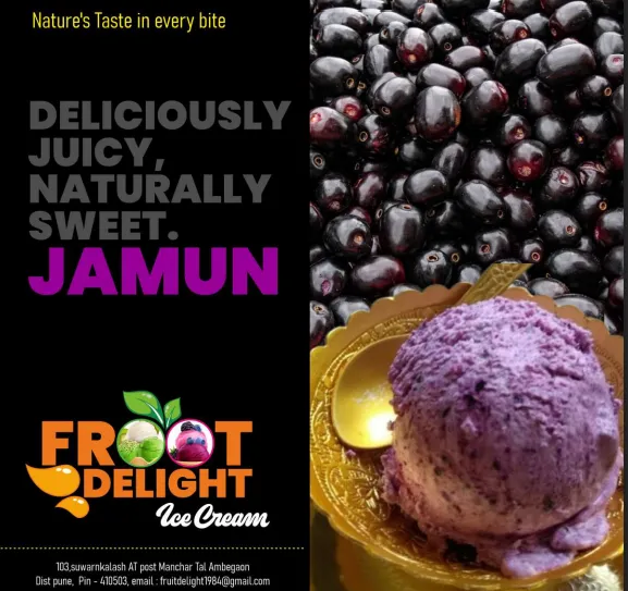 Best Quality Natural Fruit Ice Cream in Hadapsar, Pune