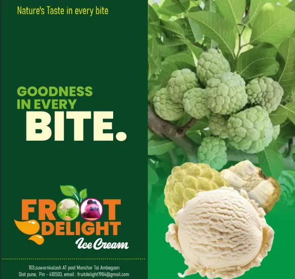 Savor Alphonso mango and Sitaphal Natural Fruit Ice Cream at Froot Delight, Hadapsar