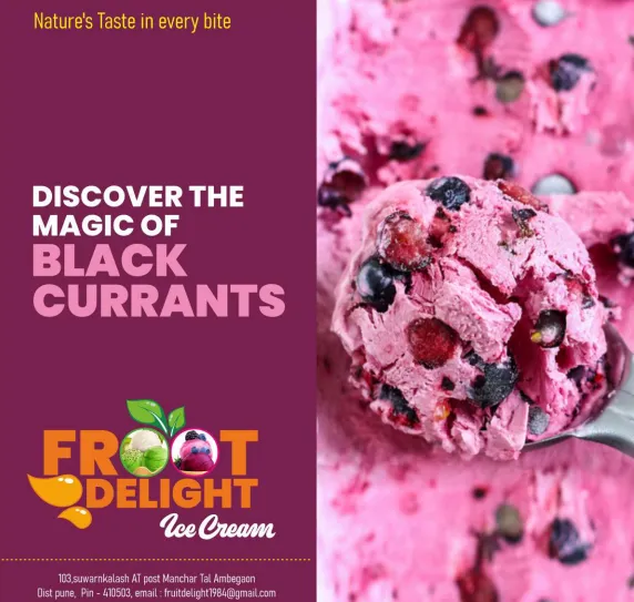 Best Quality Natural Fruit Ice Cream in Hadapsar, Pune